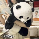 Huahua Panda Stuffed Animal Toys Kids Other Educational Toys Plush Keychains Plush Figure  Animal Toys for Children Toddler - 图片 2